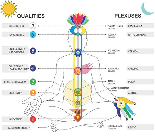 Introduction To The Seven Chakras